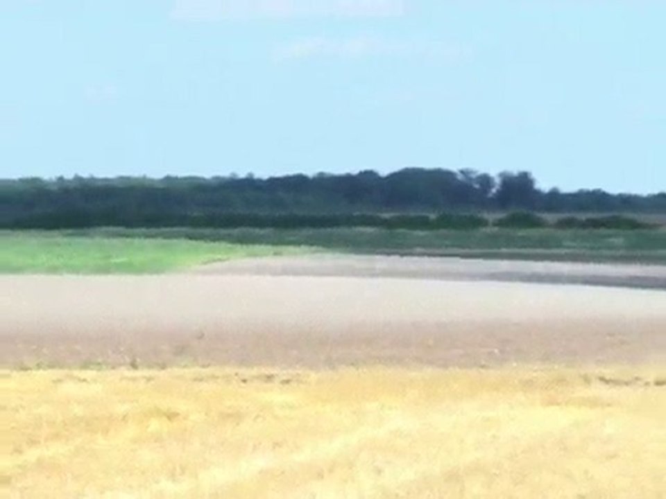 horizon#1b