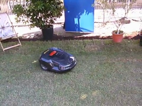 L'AUTOMATE DES -JARDINS AUX TUILERIES-