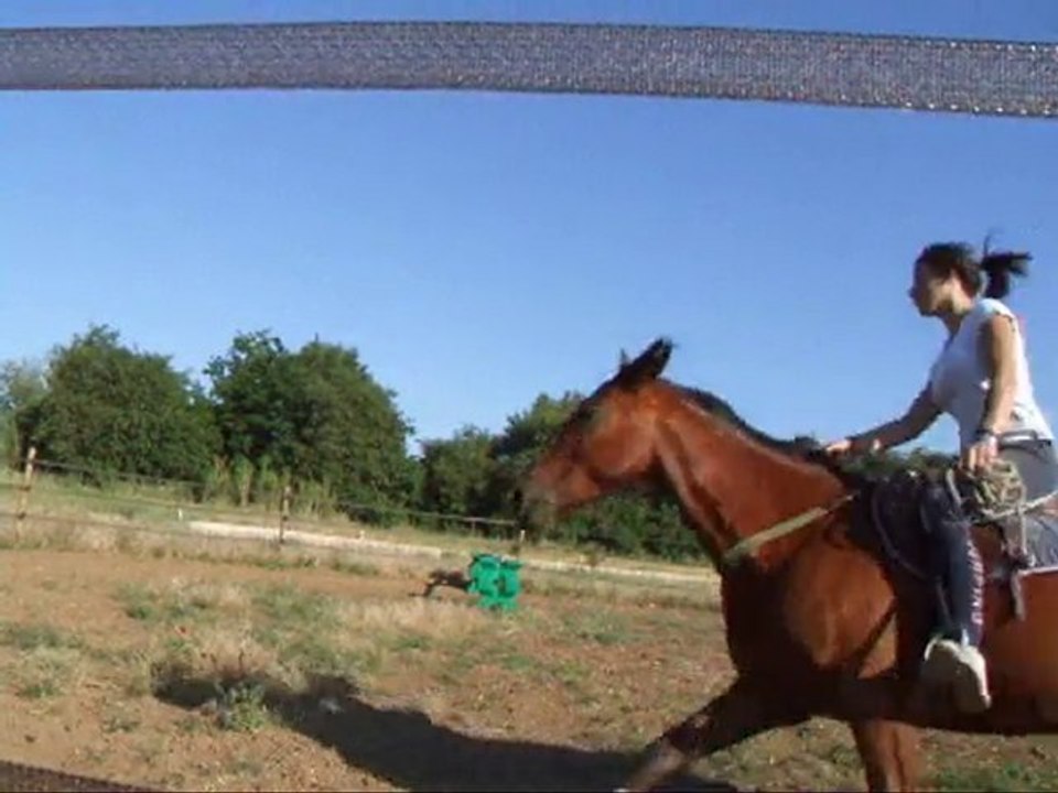 Nara, travail juin 2010