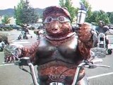 bears on motorcycles ??