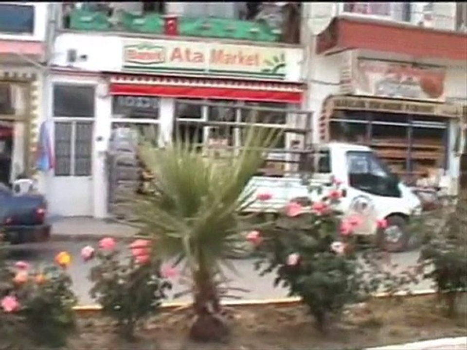 gestemoni
