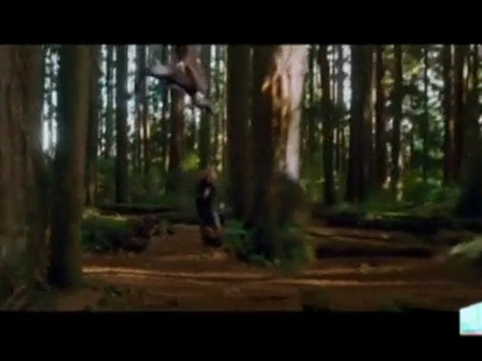 twilight