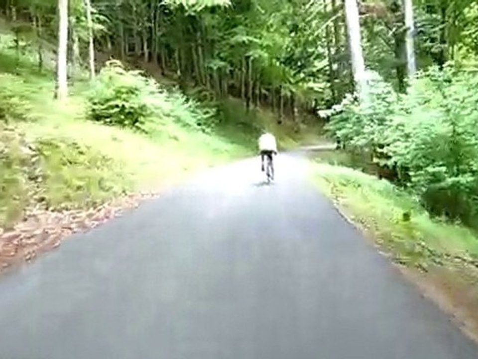 Descente dans la forêt vosgienne