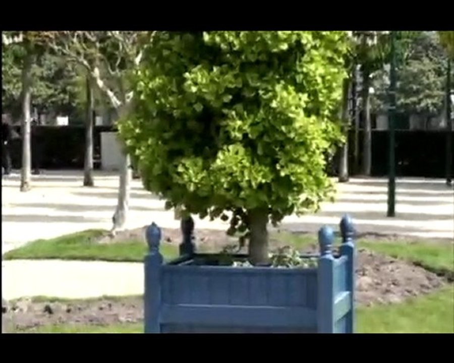 campagne  2010 - BDE Electrochoc