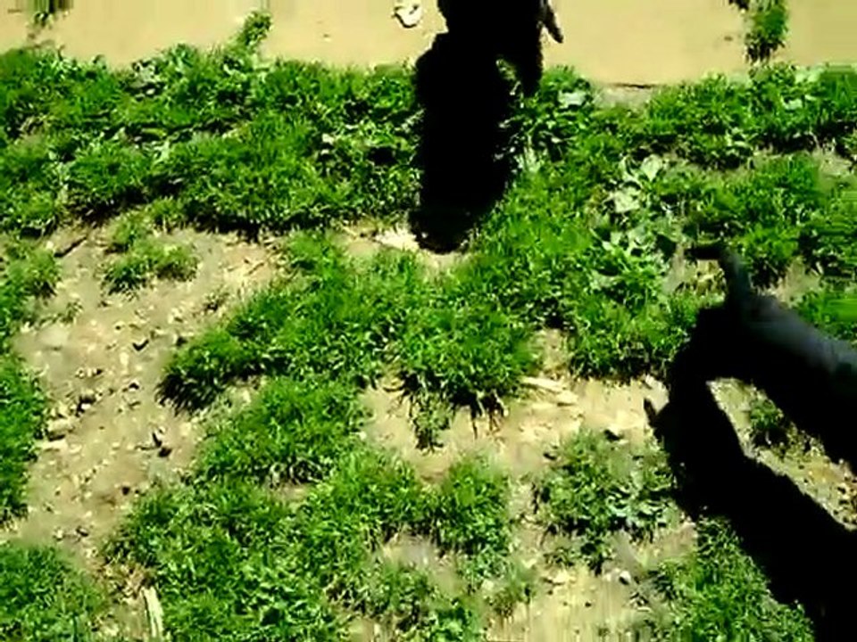 CLIP0022bébé Angy 5 juin 2010