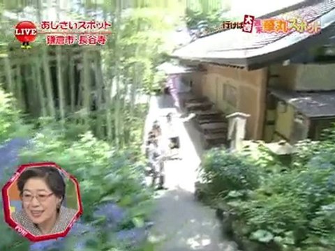 PON!週末お勧めスポット100604