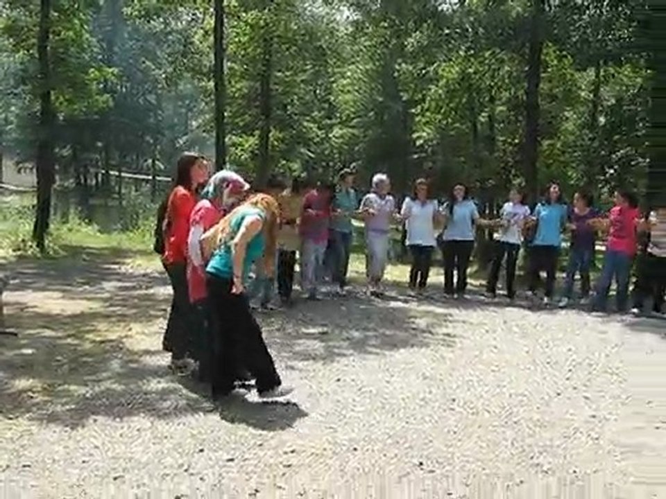 NİKSAR GÖKÇELİ DERNEĞİ, GELENEKSEL BEŞİNCİ PİKNİK ŞÖLENİ