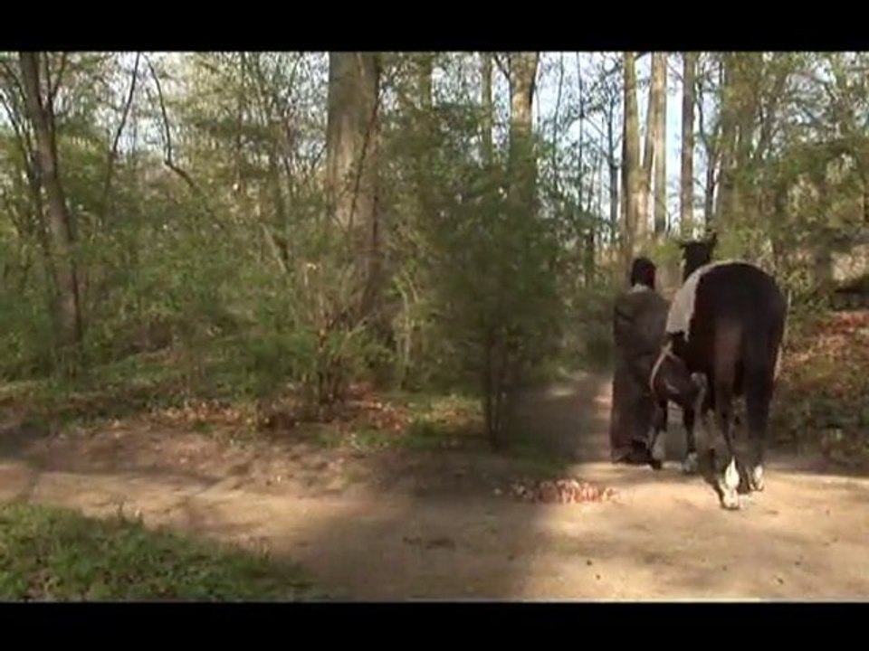 'NACH  HAUSE' aus dem Soundtrack 'ODYSSEUS' von Wunderbuntd