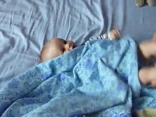 coucou caché  4 juin 10