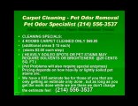 Dallas tx carpet cleaning pet odor removal water extraction