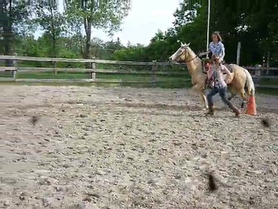 2em pick up a viee !