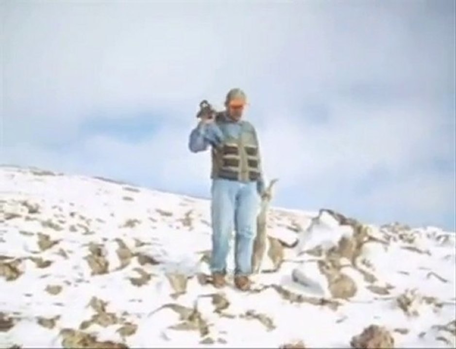 KEKLIK TAVSAN AVI SEMIRAN 2007 KODOBAY