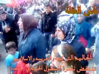 اسطول الحريه مضاهرات