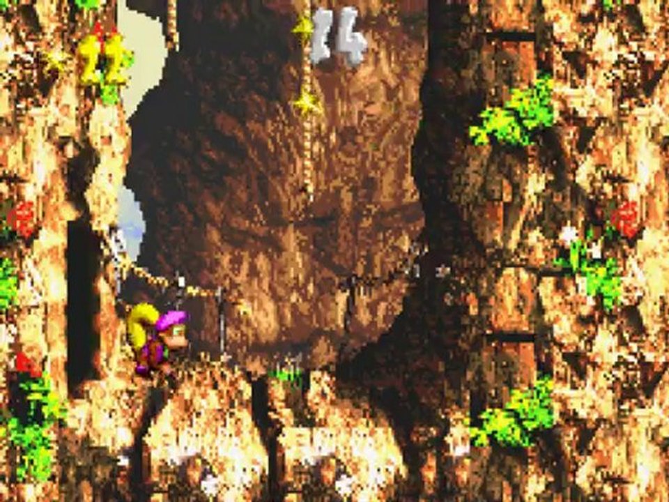 Donkey Kong Country 3 (9)