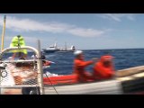 Affrontement en mer entre Greenpeace et des pêcheurs: un blessé