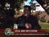 reporter vs fiente d'oiseau