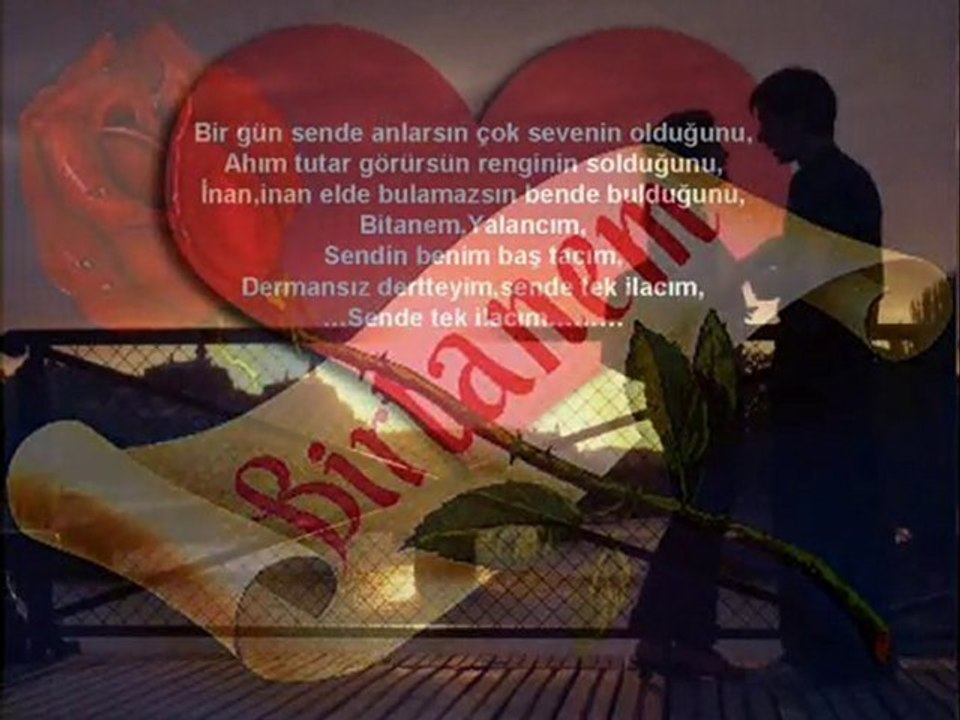 Erol Sevinç-Bitanem