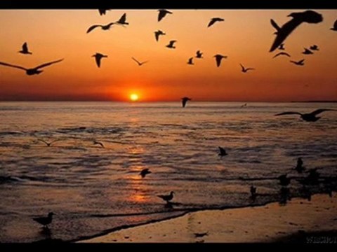 Yurtseven kardeşler - Özledim seni