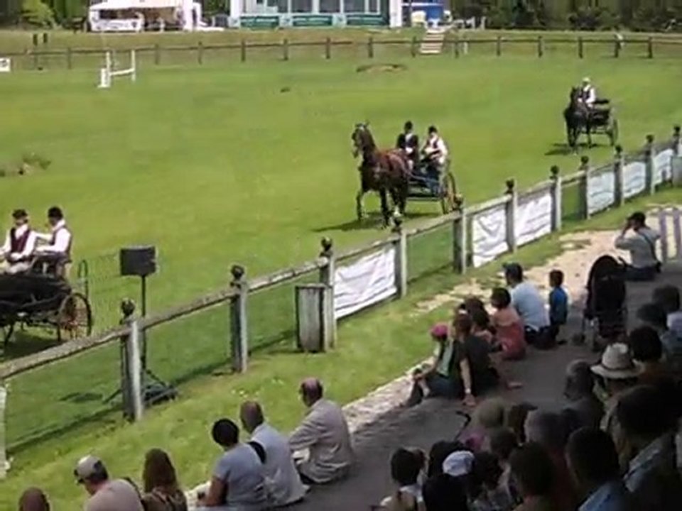 Défilé de charrettes de chasse FONTAINEBLEAU 2010