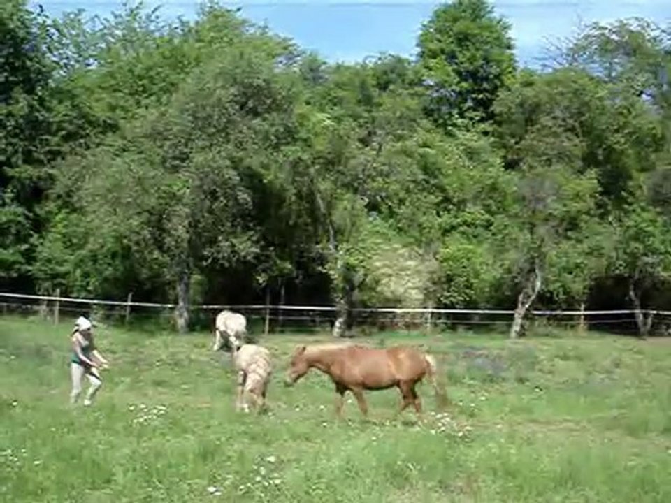 5juin mes coeurs , liberte