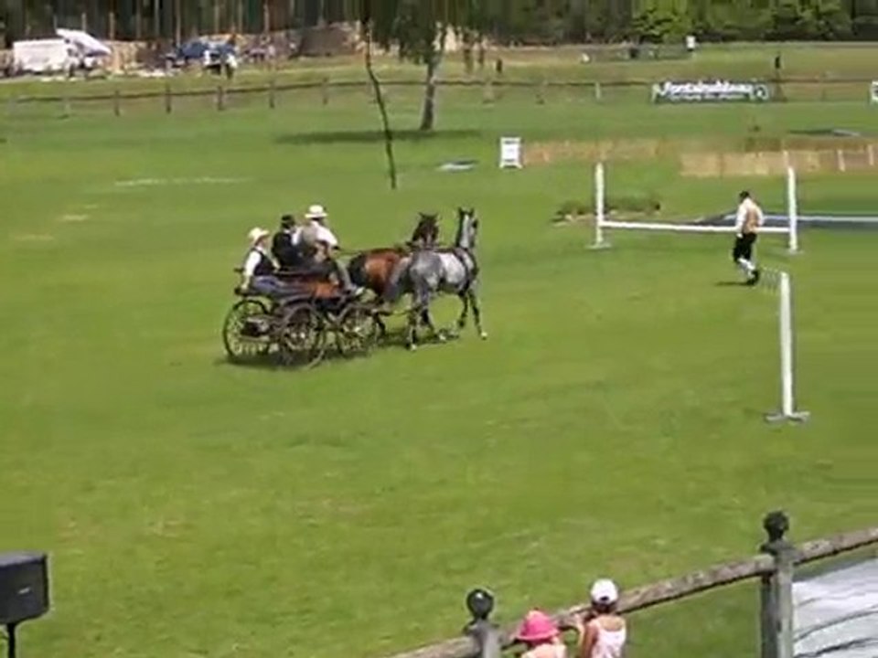 VENERIE A PIED Equipage de Lorraine FONTAINEBLEAU 2010