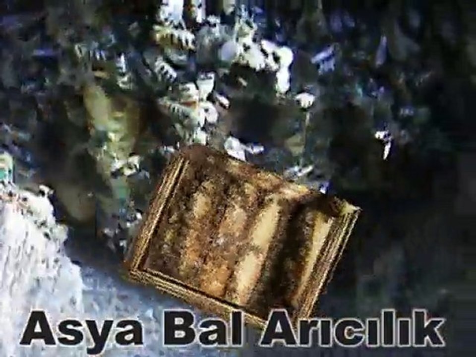 Kayabaşı Karakovan balı