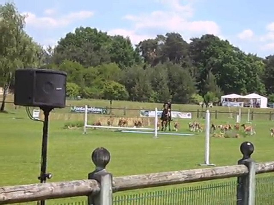 RALLYE MONTARDILLIERES Madame de Jessé FONTAINEBLEAU 2010