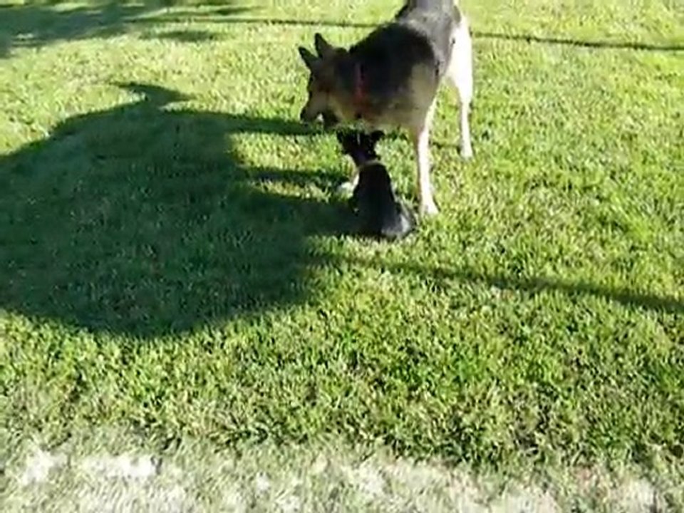 DSCN2471 Moi handicapée.......? laissez-moi rire !!!!!!!!!!!