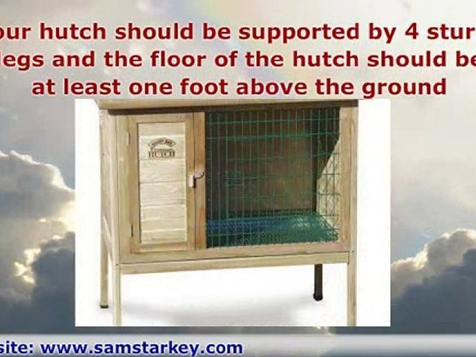 Top 3 Things to know before building rabbit hutches