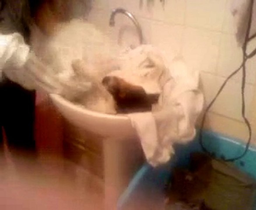 pilou prend son bain