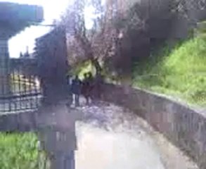 Week-end a la campagne