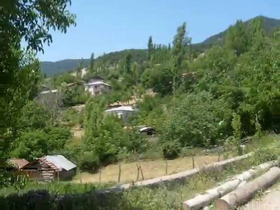 erkan doğan
