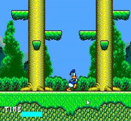 Donald the Lucky Dime Caper - Kashi's Prod