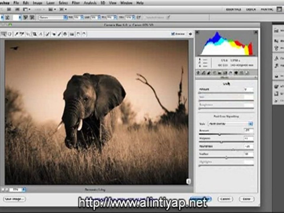 Adobe CS5 Photoshop Görsel Eğitim Video www.alintiyap.net