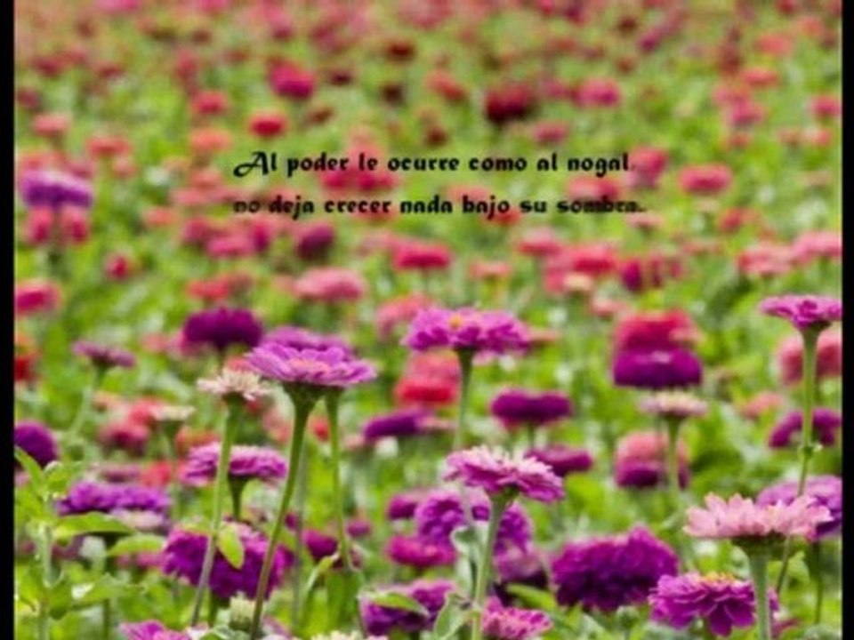 73 El video de rhonda byrne hizo famoso a el secreto,