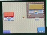 Screens (3) Pokémon version Rubica