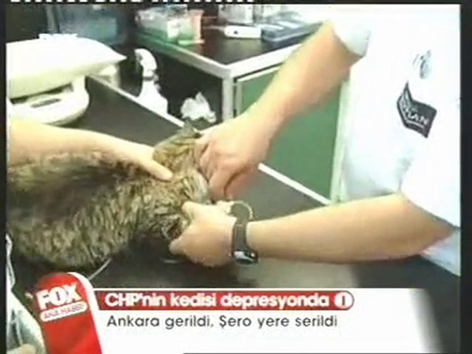 13-06-2007(Fox -Şero)
