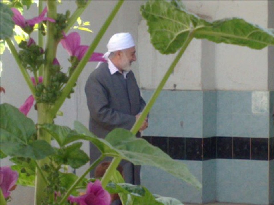 GEL SEYDA'YA