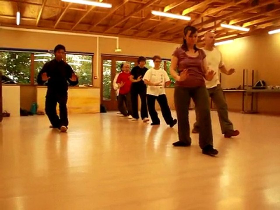 Tai chi quan style yang à Poitiers