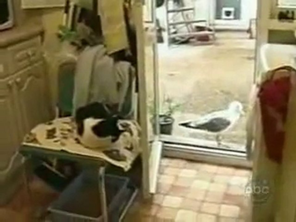 Der_Dieb_kommt_ins_Haus