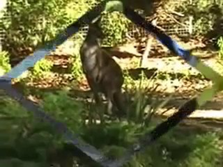 The Totally Cool Show - Season 1 - Episode 4