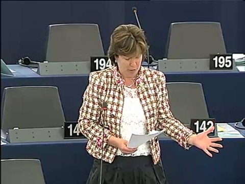 Diana Wallis on Judicial training