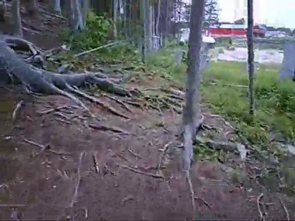 GAME 2 PAINTBALL SPK