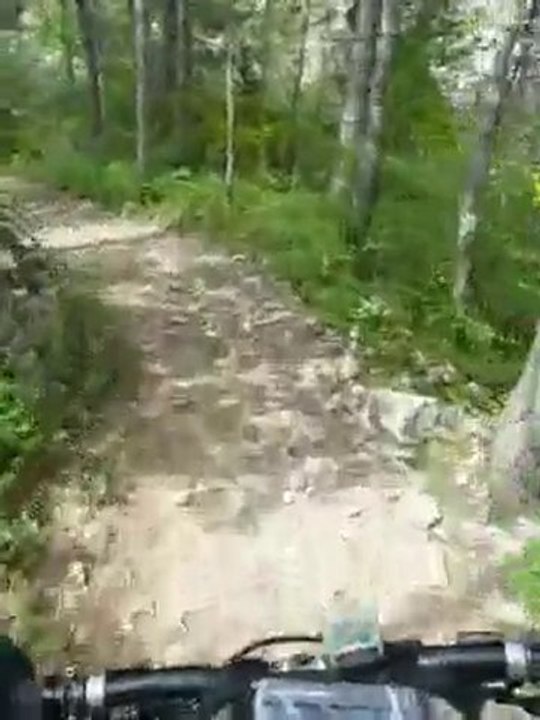 Descente VTT, Montagne de St Genis, mai 2009