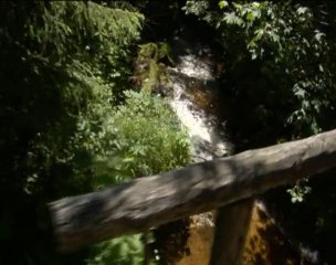 Une Ballade en Nature