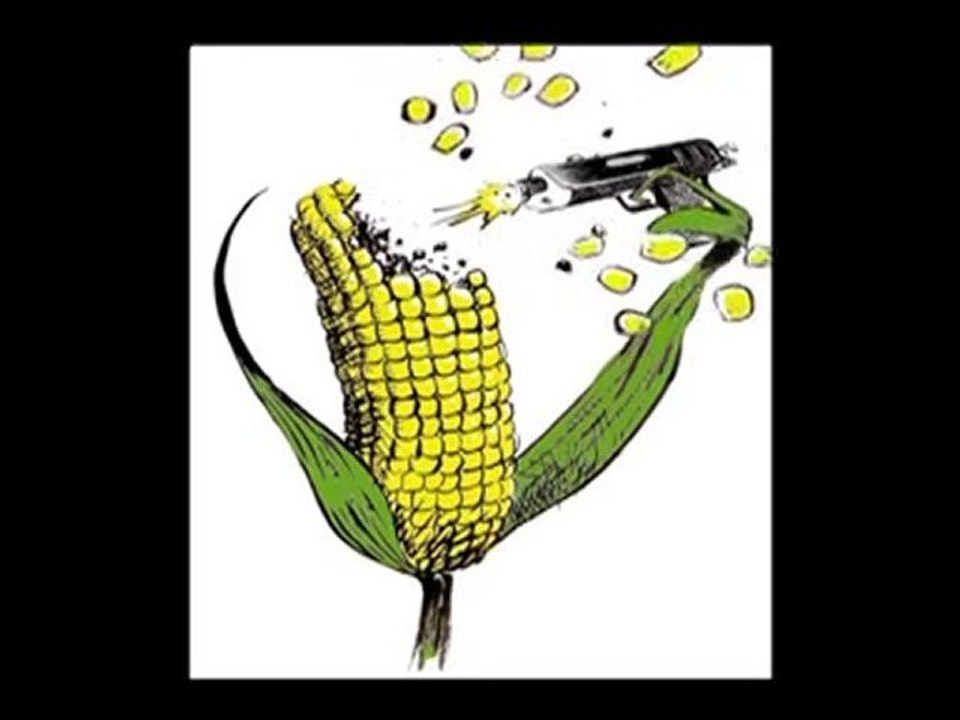 Planète terre : Désert d'abeilles ? 2/5