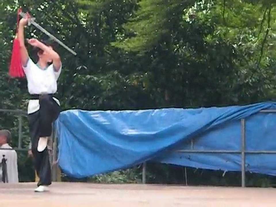 QiGong Porte Dorée 06 juin 2010 2/3
