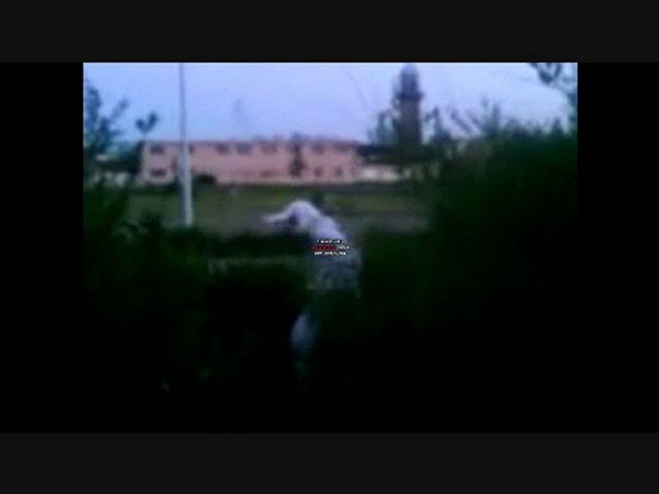 RONDE ROLLER DU HAVRE LE LAPIN 1