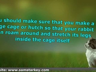 Indoor and outdoor rabbit cages - What is Best?