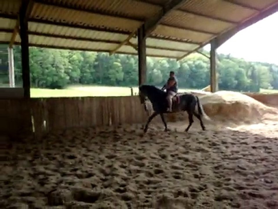 doude a cheval sur entier pre